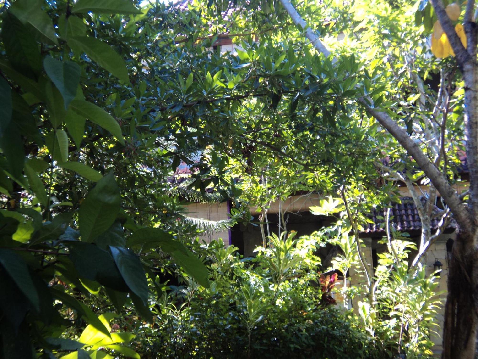 Villa Bhuana Alit Ubud  Exterior photo