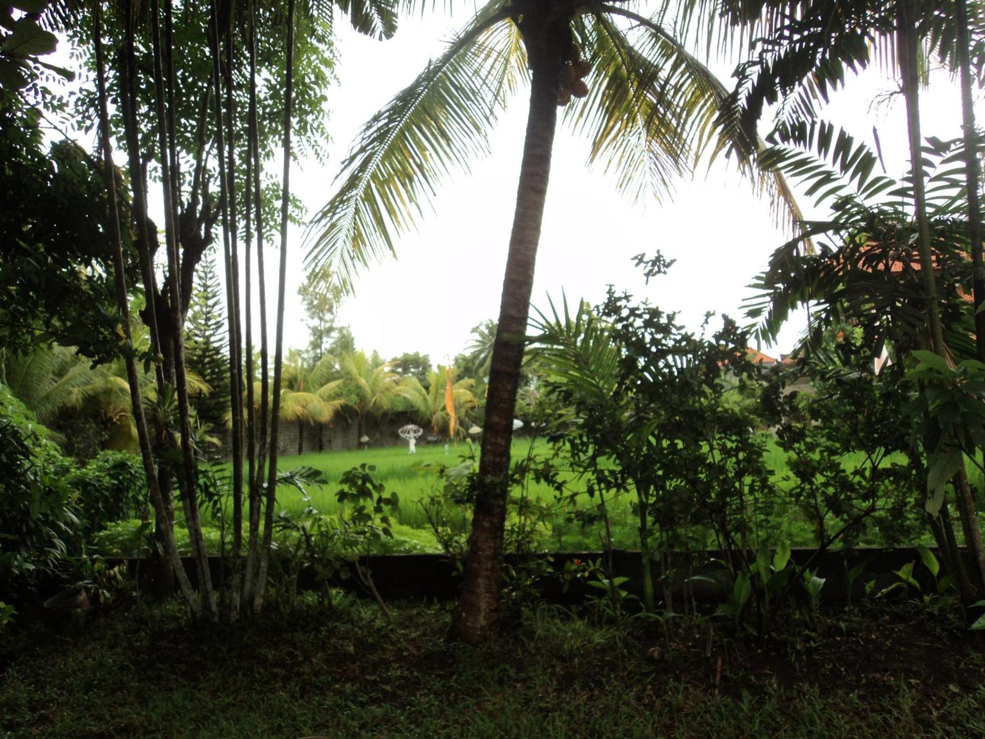 Villa Bhuana Alit Ubud  Room photo