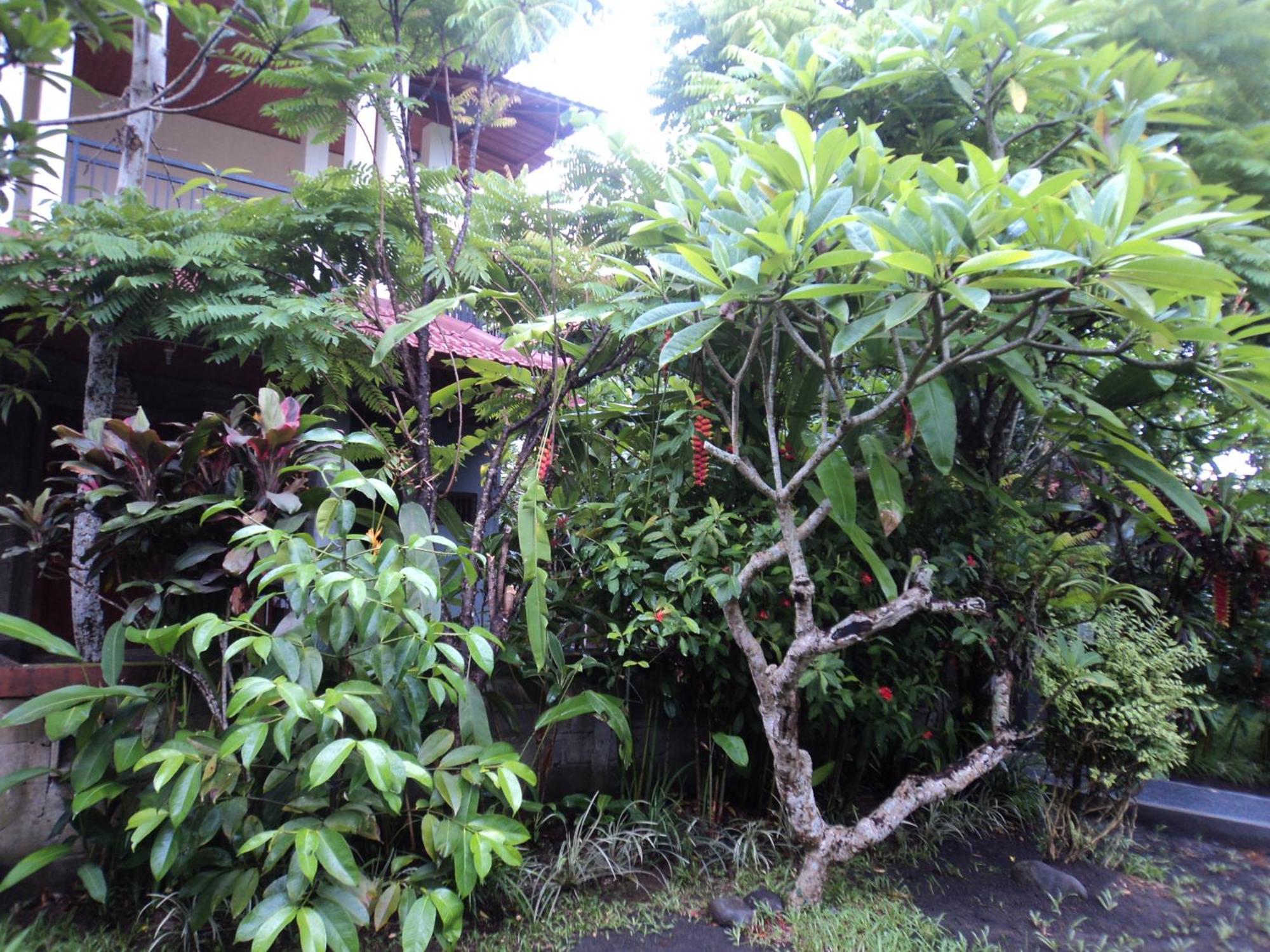 Villa Bhuana Alit Ubud  Room photo