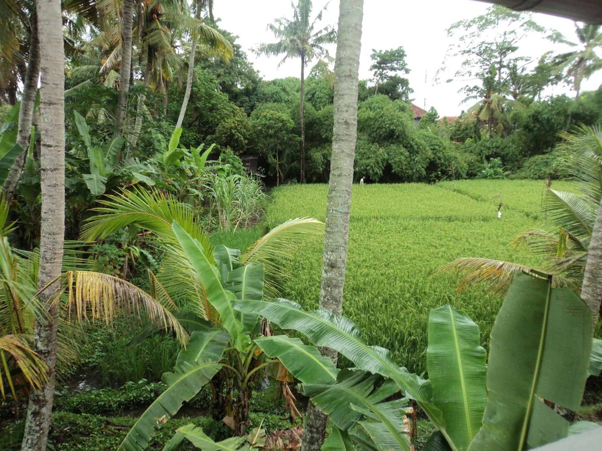Villa Bhuana Alit Ubud  Room photo