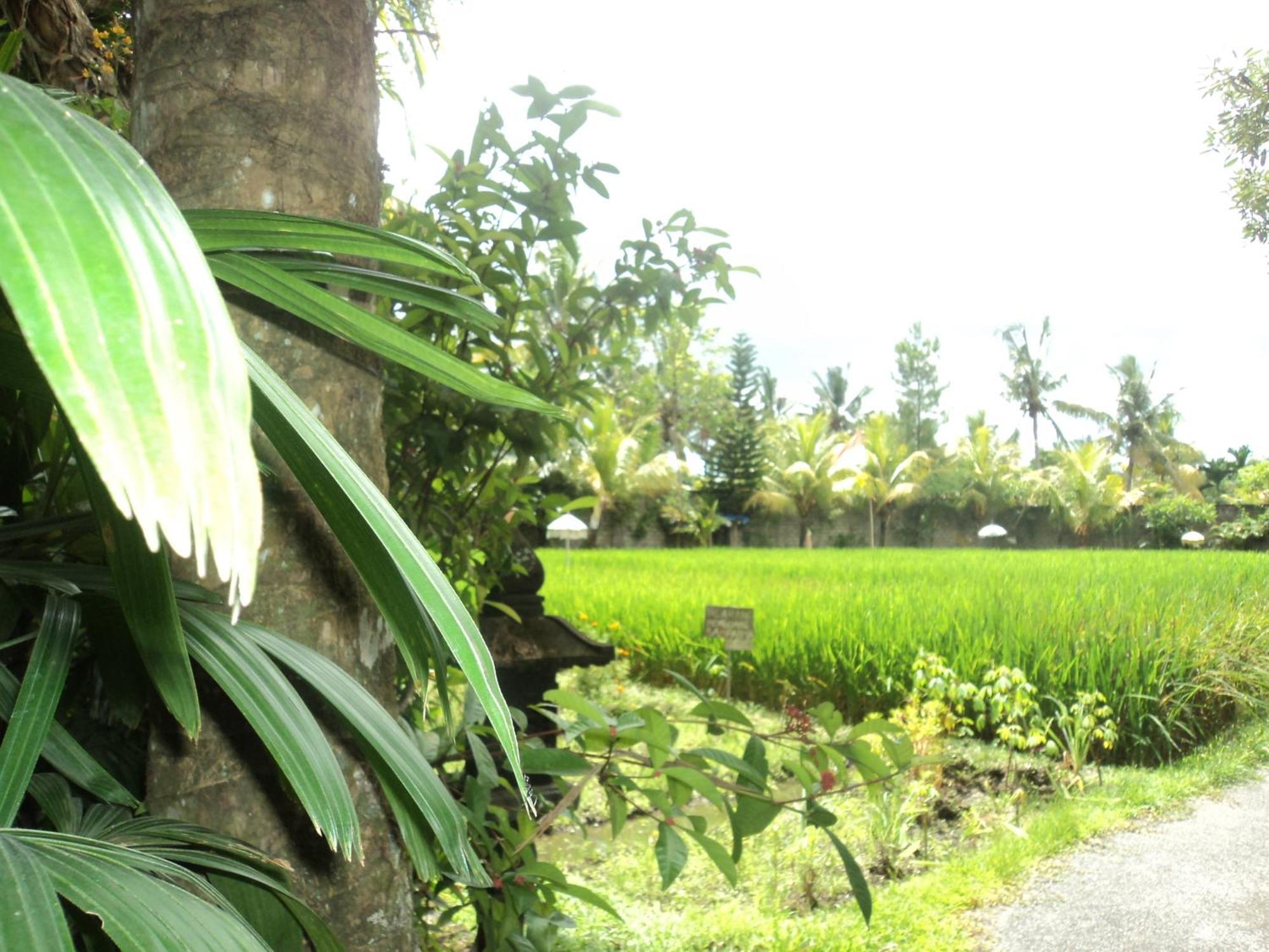 Villa Bhuana Alit Ubud  Room photo